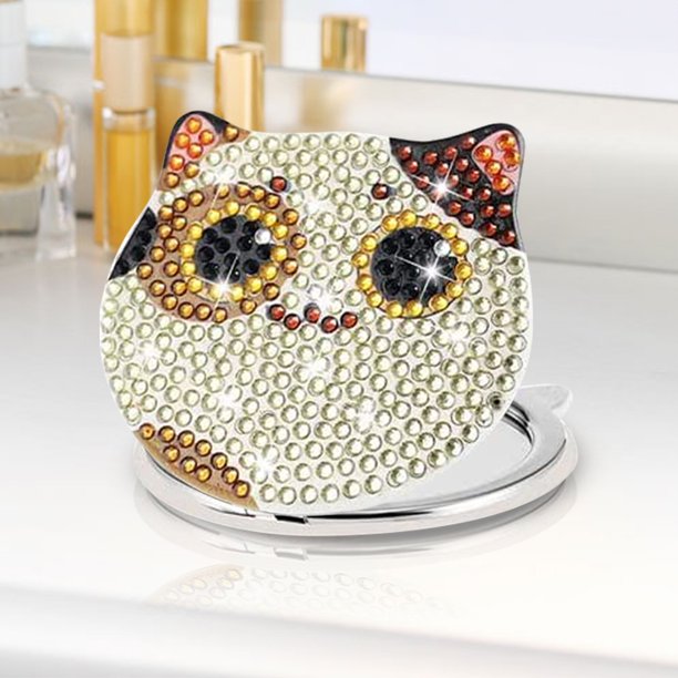 Cuadros Decorativos Pintura de espejo de maquillaje de mosaico de arte de diamante DIY por Kits de números gato para adultos y niños Wdftyju embutido en tela