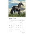 thumbnail image 3 of The Beauty of Horses | 2024 12x24" (Hanging) Wall Calendar | StarGifts, 3 of 9