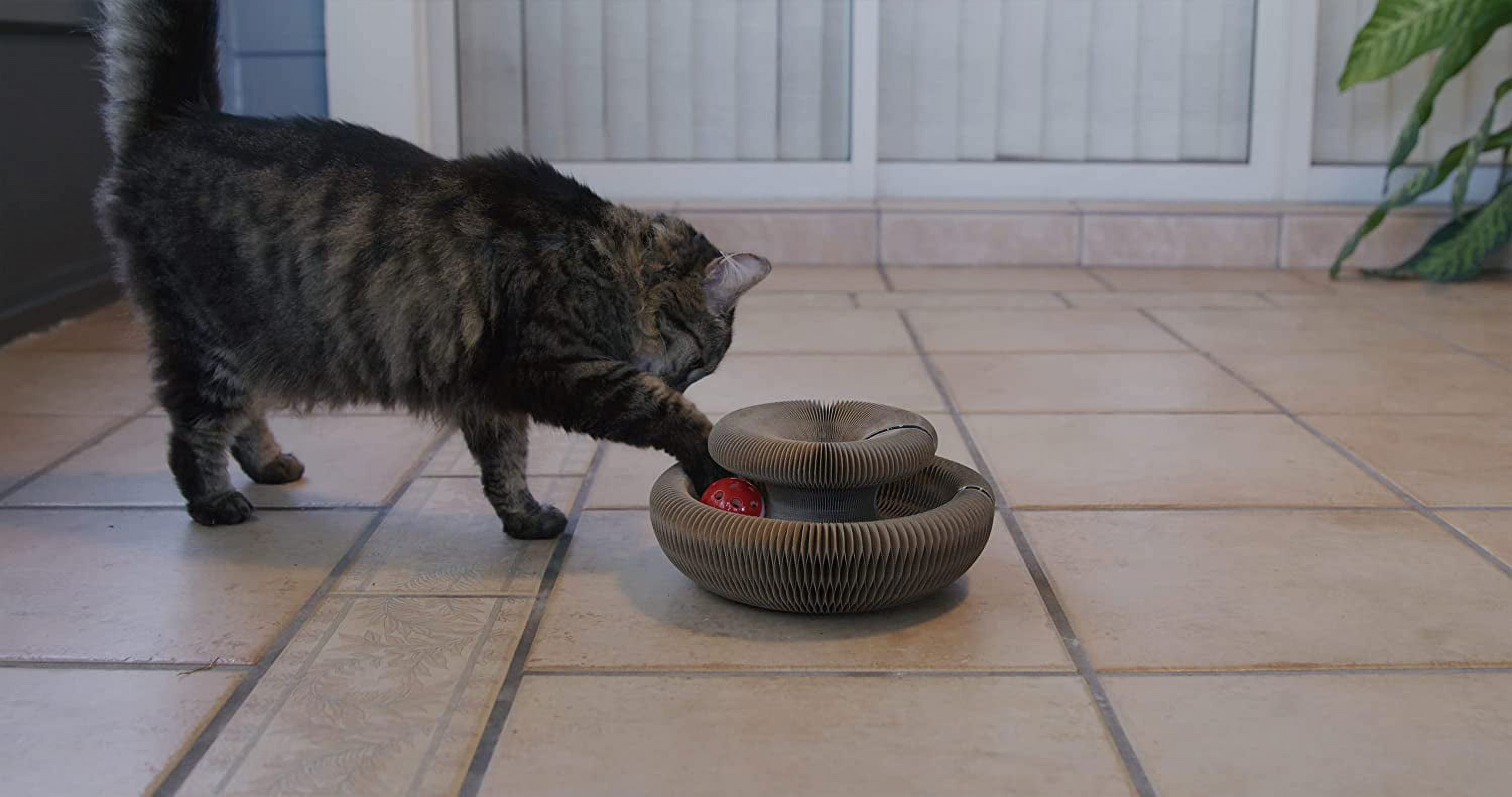 PAWtastic Kitty Round N Round Foldable Cat Toy, Made with Recycled Carboard