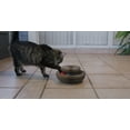 thumbnail image 6 of PAWtastic Kitty Round N Round Foldable Cat Toy, Made with Recycled Carboard, 6 of 8