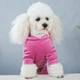 thumbnail image 4 of Ropa de terciopelo dorado para perros Suéter de cuatro patas Primavera y otoño Ropa para perros pequeños Ropa deportiva para perros siameses Ropa de cuatro patas para mascotas, 4 of 6