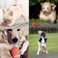 thumbnail image 5 of Rubber Ball For Dog, Pet Squeaky Toys, Dog Rugby Ball, Squeaky Latex Rubber Dog Toy Balls Bite Resistant Teeth Training Toys For Dogs - 14 * 8 Cm, 5 of 5