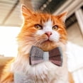 thumbnail image 4 of Pet Bow Tie,Pet Collar Bow Collar Collar Strap,Head Safety Socket Dog Collar With Bow And Bell For Dogs,Cats And Rabbits(7-11Inch,#15), 4 of 8