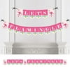 Big Dot of Happiness Pink Flamingo - Party Like a Pineapple - Tropical Summer Party Bunting Banner - Pink Party Decorations - Let's Flamingle