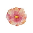 thumbnail image 3 of Supreme Housewares Durable Tableware Plates, Melamine, Set of 4, 3 of 3