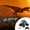 D, variant on Hearth & Gear Dinosaur Remote Control Car 2.4 Truck Toy For Toddlers Dinosaur Toy With Light Sound Spray Birthday For Boys 2 3 4 5 6 7 8 12 Anxiety for Teens Animals for Kids 3-5 Busy Busy Town Board