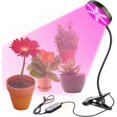 thumbnail image 1 of Versatile LED Plant Lamp for Indoor Gardens, Supports Accelerated Fruit Ripening with Full Spectrum Light and Customizable Spectrum, 1 of 3