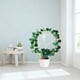 thumbnail image 5 of Estante de escalada de vid, hierro, vegetales, enrejado de plantas, marco de soporte para plantas, flores, herramientas de jardinería decorativas, 5 of 5