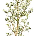 thumbnail image 2 of HomeStock Coastal Cool 7.5Ft. Olive Artificial Tree In Decorative Planter, 2 of 3