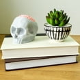 thumbnail image 5 of Clever Contraption Skull Storage Statue – Removable Brain Lid for Candy, Keys, or Trinkets, PLA Plastic, 5 of 9