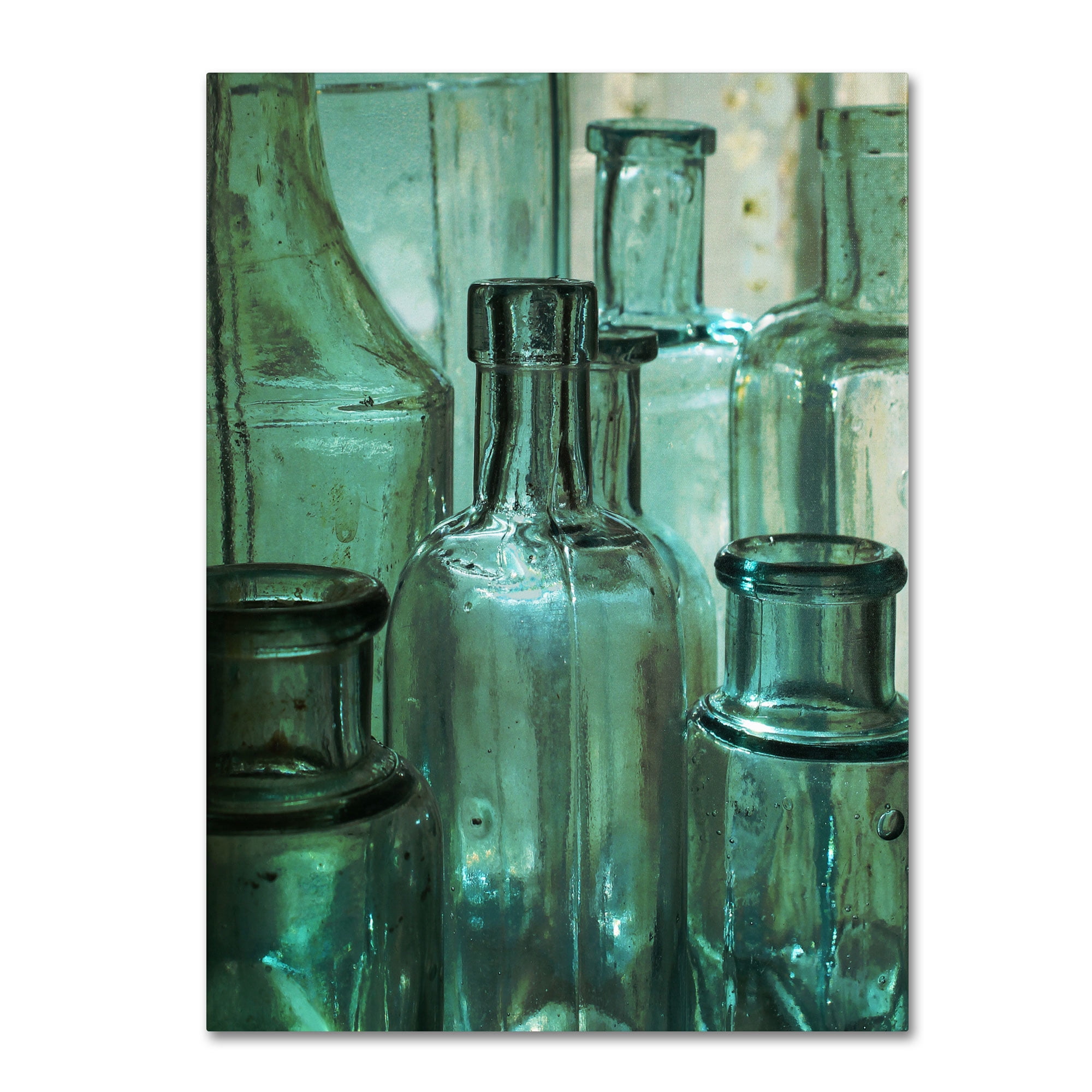 Trademark Fine Art "Antique Bottles" Canvas Art by Patty Tuggle