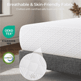 Yaheetech 12" Queen Size Memory Foam Mattress with Green Tea Scent