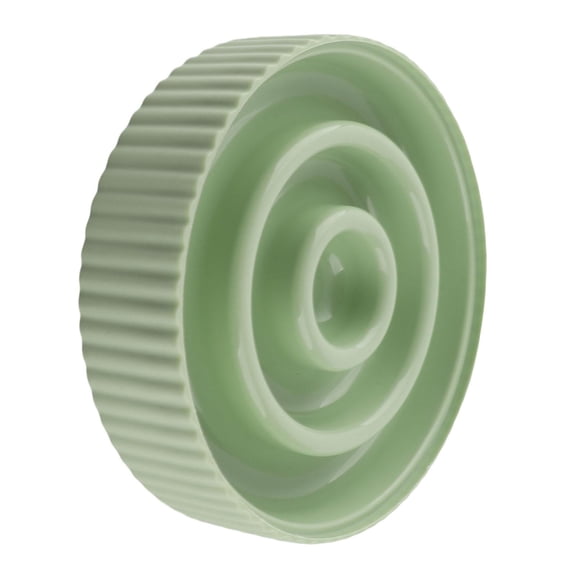 Xirurus Slow‑Feeder Pet Bowl – Non‑Slip, Choke‑Proof Design with Ridges to Slow Eating, Promote Digestion, Easy to Clean, Green