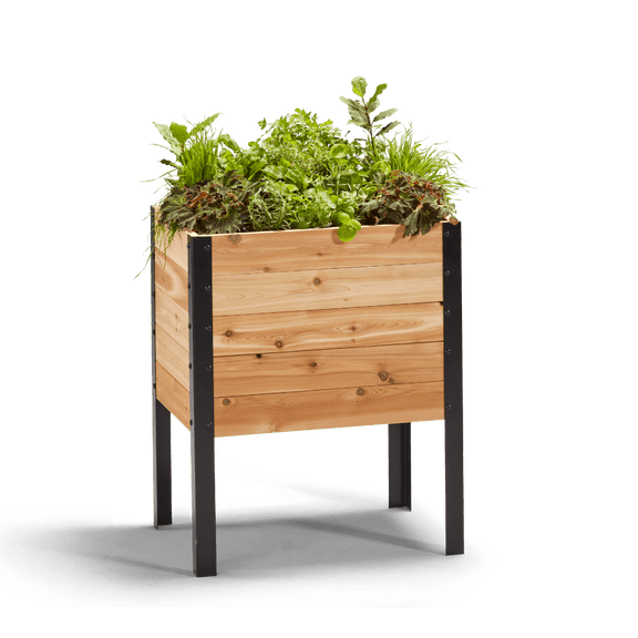 Cedar Planters 18" x 24" Outdoor Raised Garden Bed - 100% Canadian Western Red Cedar Elevated Planter Kit, 30" Tall