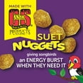 thumbnail image 5 of Pennington Ultra Feeding Frenzy Blend Dry Wild Bird Feed and Seed, 2.5 lb. Bag, 1 Pack, 5 of 10