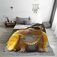 thumbnail image 5 of Cauagu Heavy Metal Style Guinea Pig Pattern Flannel Bed Blankets,Fleece Blanket Comfortable Air Conditioning Blanket for Sofa Bed Travel Couch & Living Room -80"x60", 5 of 8