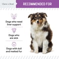 thumbnail image 4 of Suplemento Chew + Heal Milk Thistle, 60 ml, para ayudar al hígado de los perros, 4 of 7