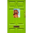 thumbnail image 2 of Carolines Treasures 7029DS1216 Irish Setter Wall or Door Hanging Prints 12x16 multicolor, 2 of 2