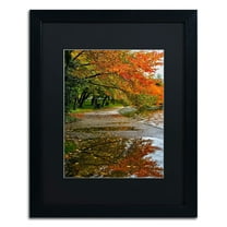 Trademark Fine Art "Tidal Basin Autumn 1" Canvas Art by CATeyes, Black Matte, Black Frame