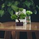 thumbnail image 4 of ColoMX Decoración del modelo de planta verde artificial Simulación de la planta en maceta Decoración de bonsai falso, 4 of 7