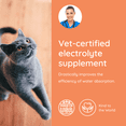 thumbnail image 2 of Petralyte Cat Electrolyte and Joint Supplement | for Tuna Lovers | 16 Packets, 2 of 7