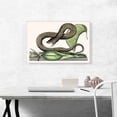 thumbnail image 2 of ARTCANVAS Vintage Illustration Of Brown Viper Canvas Art Print by Mark Catesby - Size: 26" x 18" (0.75" Deep), 2 of 9