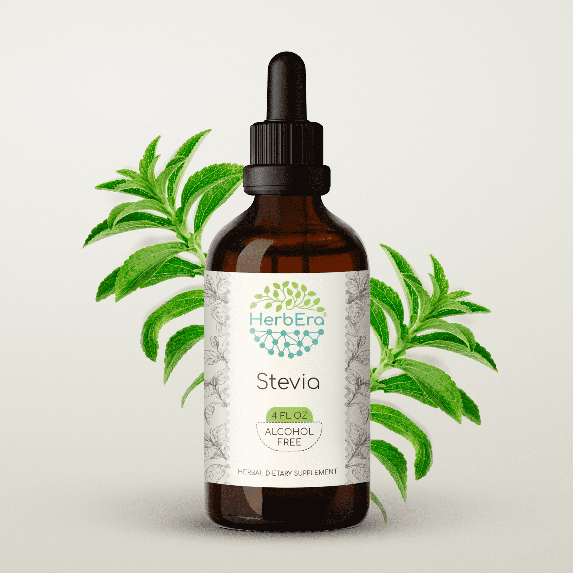 HerbEra Stevia Tincture, Herbal Dietary Supplement for Antioxidant Support, Stevia (Stevia rebaudiana) Dried Leaf Extract, Natural, Alcohol-Free, Drops 4 oz