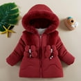 thumbnail image 5 of Toddler Girl Winter Dress Coats Baby Warm Hooded Fleece L𝐢ning Jacket Water 𝐑esistant Outwear Heavy Long Parka, 5 of 5