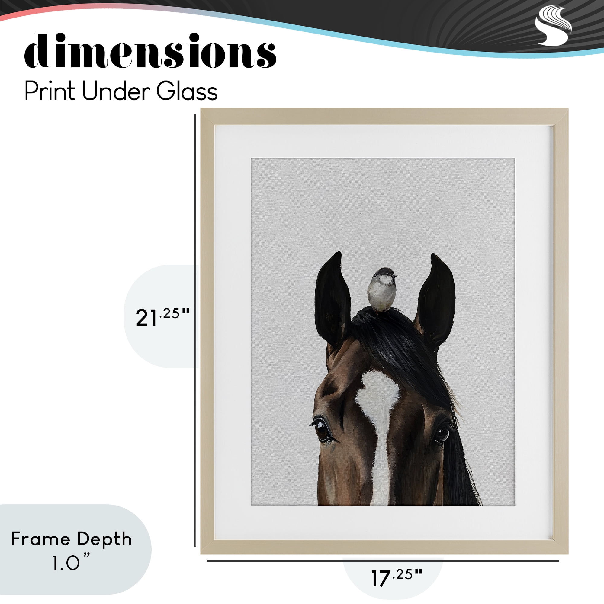 Stupell Industries Quiet Companion Horse & Bird Birch Framed Print Under Glass, design by Svetlana Aleynikova