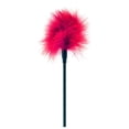 thumbnail image 1 of SM Erotic Teasing Brush Fun Supplies Tickler Multi-color Optional, 1 of 1