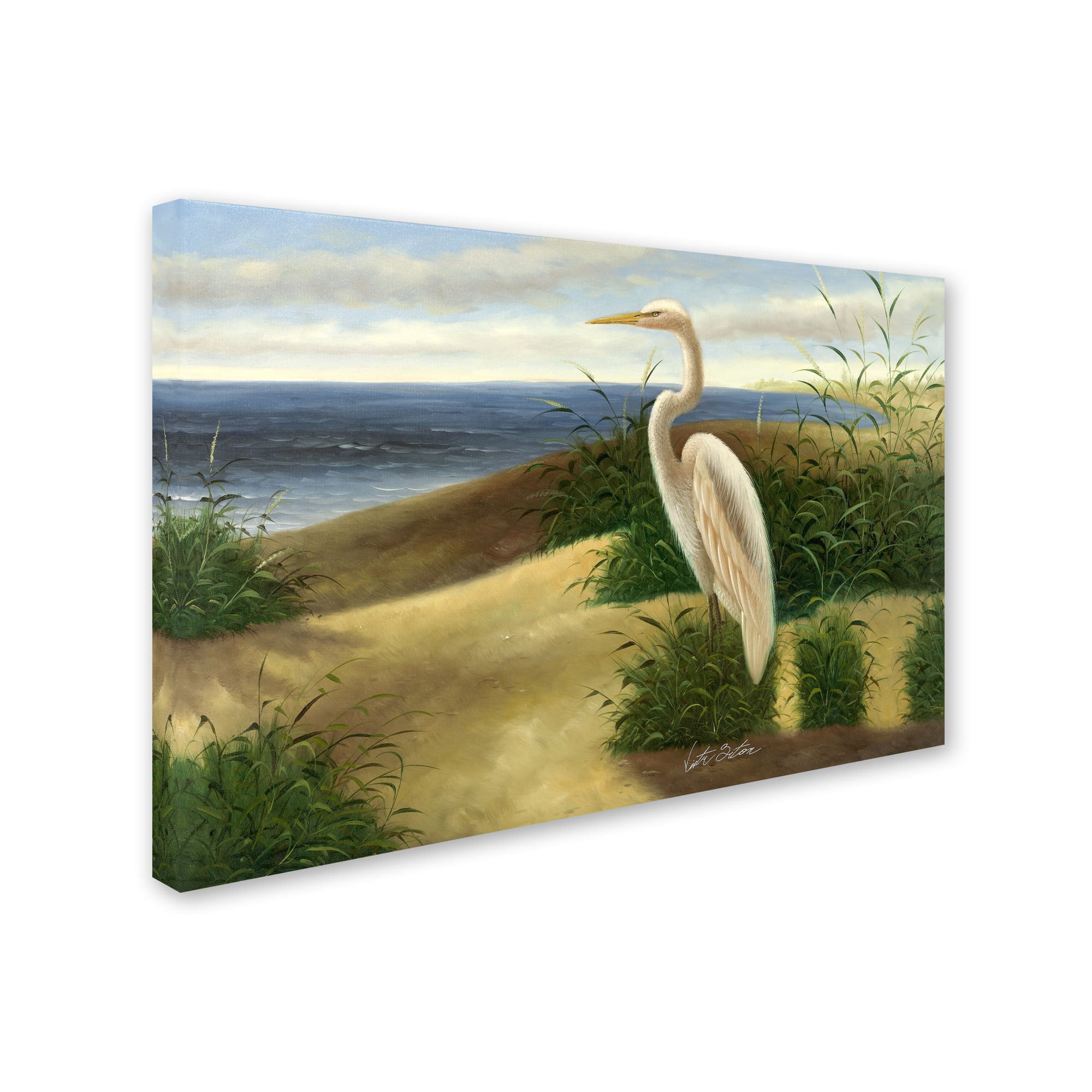 Trademark Fine Art "One Heron at the Beach" Canvas Art by Victor Giton
