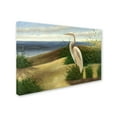 thumbnail image 3 of Trademark Fine Art "One Heron at the Beach" Canvas Art by Victor Giton, 3 of 4