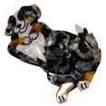 thumbnail image 1 of Animal Shape Hair Claw Clips Non Slip Grab Grip Acetate Barrettes Dog Hairpin, 1 of 5
