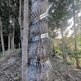 thumbnail image 3 of Bird & Squirrel Spikes Kit, 3 Meters Stainless Steel Anti-Climb Fence & Baffle, Prevents Raccoons, Squirrels, Snakes, Cats from Climbing, 3 of 5
