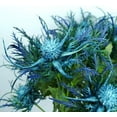 thumbnail image 5 of Morttic 6PCS Artificial Thistles Flowers Bouquet Long Stems Fake Silk Sea Holly Flowers Plants for Home Decor Centerpieces Decor(Blue), 5 of 8