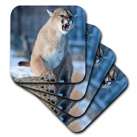 

3dRose Usa Minnesota Sandstone Cougar Growling - Soft Coasters set of 8