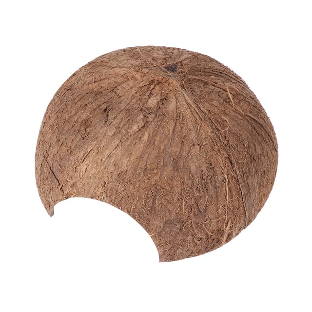 Espacioso túnel de coco natural para escondite de arañas, serpientes y lagartijas (sin agujero)