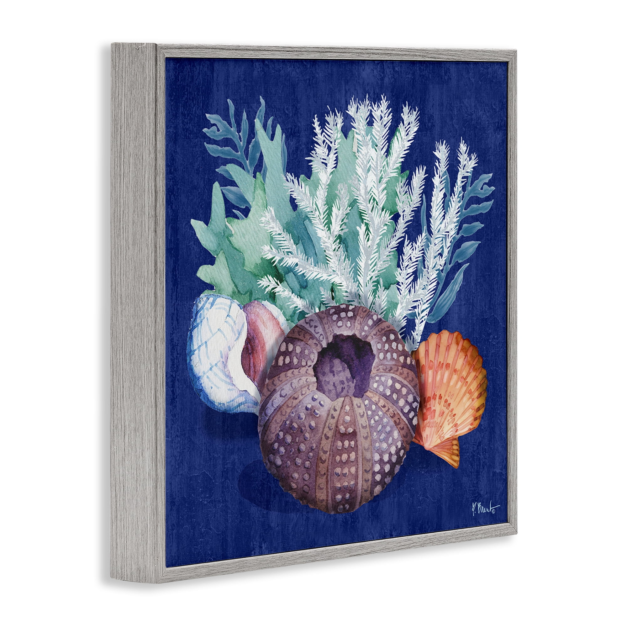 Stupell Industries Urchin Sea Life Coastal Painting Gray Framed Art Print Wall Art, 24 x 24