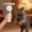 A, variant on Interactive Flying Saucer Cat Toy Rechargeable Teaser Toy with Colorful Flying Rings Indoor Boredom Relief Cat Chase Fetch Disc Launcher Hunting Exercise Toy for Cats Dogs Indoor Outdoor Yard