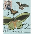 thumbnail image 3 of Vision Studio 15x18 Black Modern Framed Museum Art Print Titled - Le Papillon Script VI, 3 of 5