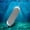 02, variant on 4.7 Inch Reflective Metal Trolling Fishing Lure, Rotating Fishing Flasher, Durable Fishing Accessories for Saltwater Freshwater (03)