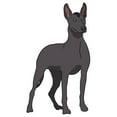 thumbnail image 2 of Xoloitzcuintli Decal | Indoor/Outdoor | Dog Lover Super Cute Sticker for SUV Windows, Dorm Rooms, Bedroom, Offices | SignMission personalized gift | 18", 2 of 2