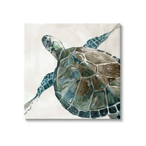 Stupell Industries Beige Sea Turtle Swimming Graphic Art Gallery Wrapped Canvas Print Wall Art, Design by Carol Robinson