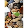 thumbnail image 3 of Calkins, Michelle 13x18 Black Modern Framed Museum Art Print Titled - Petoskey Stones I, 3 of 5
