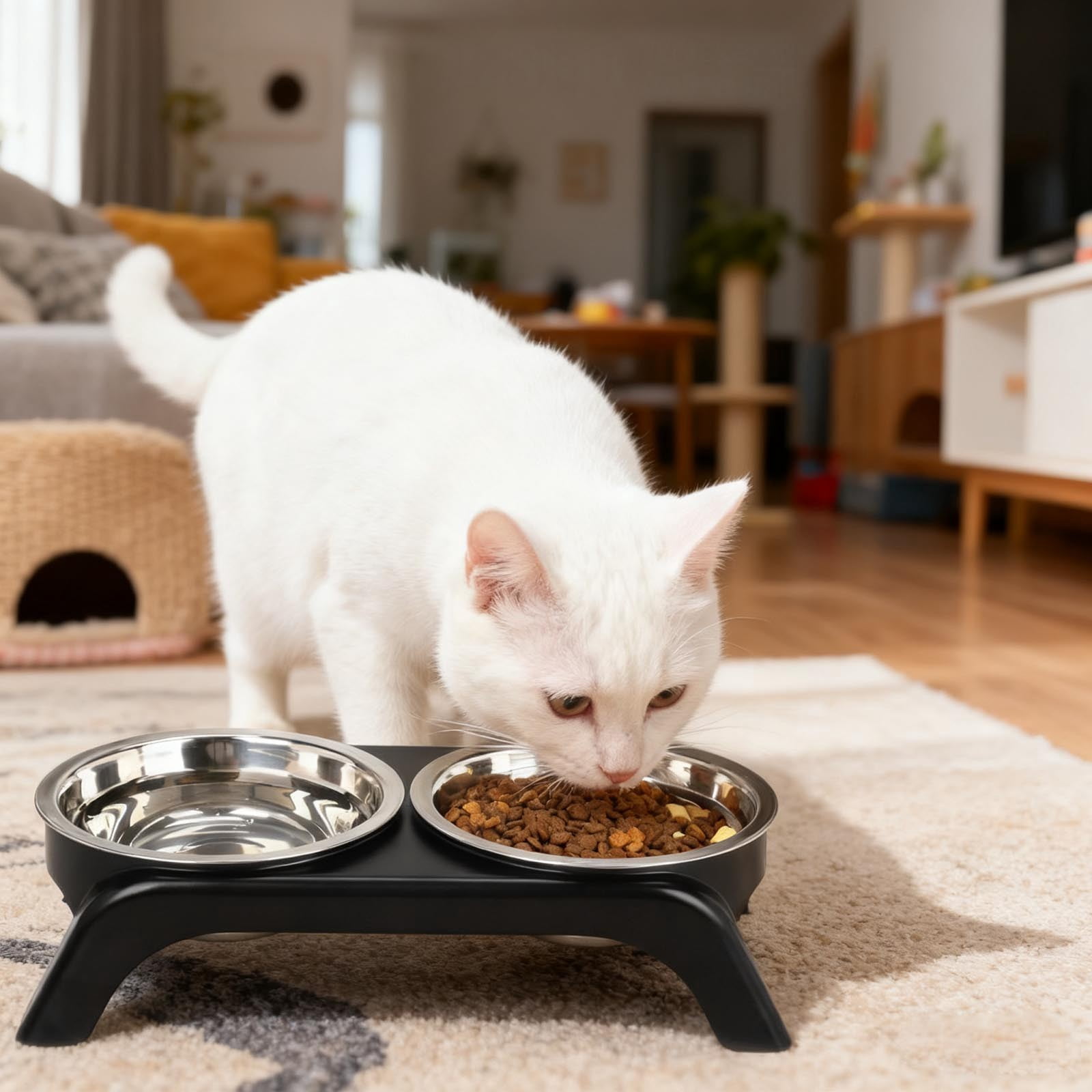Elevated Cat Dog Bowls With Stand Adjustable Height Slow Feed Non Base Comfortable Dining Stainless Steel Indoor Pet Feeder