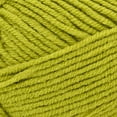 thumbnail image 2 of Lion Brand Yarn Color Theory Yarn, Citron, Medium/Worsted Acrylic Yarn, 3 Pack, 2 of 5