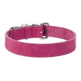 thumbnail image 3 of COLLAR America | WAUDOG Classic | Leather Dog Collar in Pink, 3 of 7
