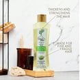 thumbnail image 5 of Arbol Verde Natural Hair Thickening Shampoo with Hispanic Herbs, 16.9 fl oz, 5 of 9