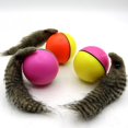 thumbnail image 4 of Jouet de Castor pour Enfants, Balle d'Activation de la Belette, 4 of 4
