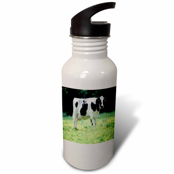 3dRose, Black n White Cow On Grass, 21 oz Sports Water Bottle